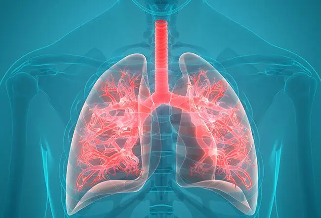 Respiratory Disorders Treatment