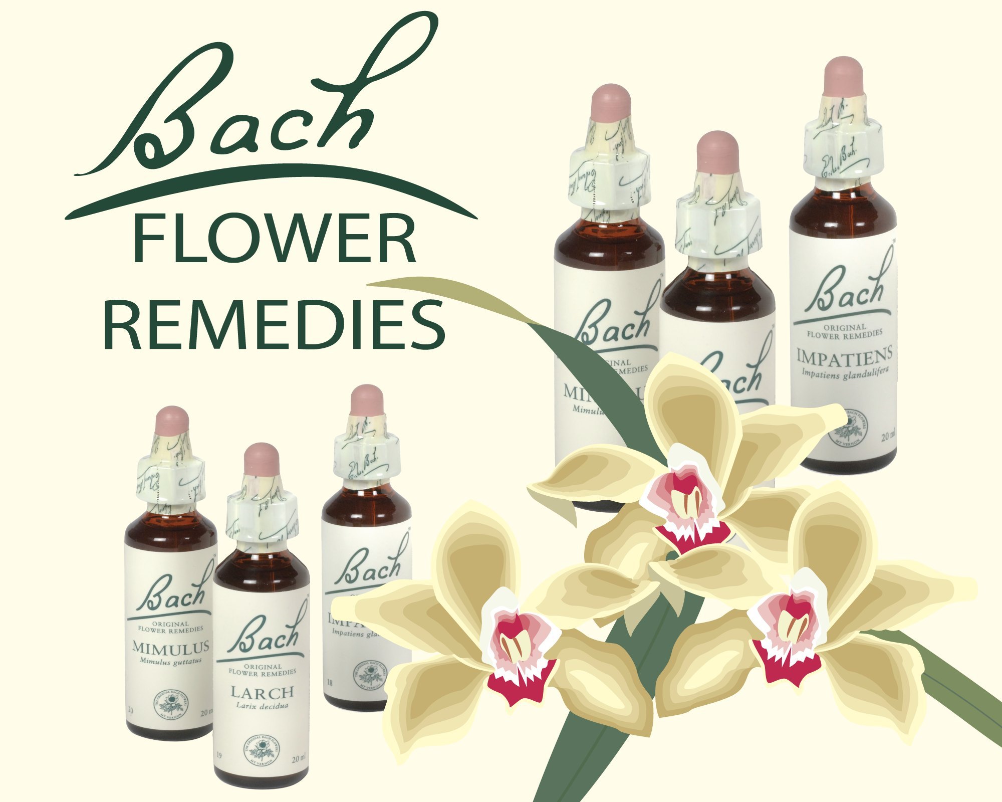 Diploma in Bach Flower